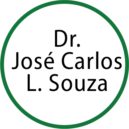 José Carlos L de Souza