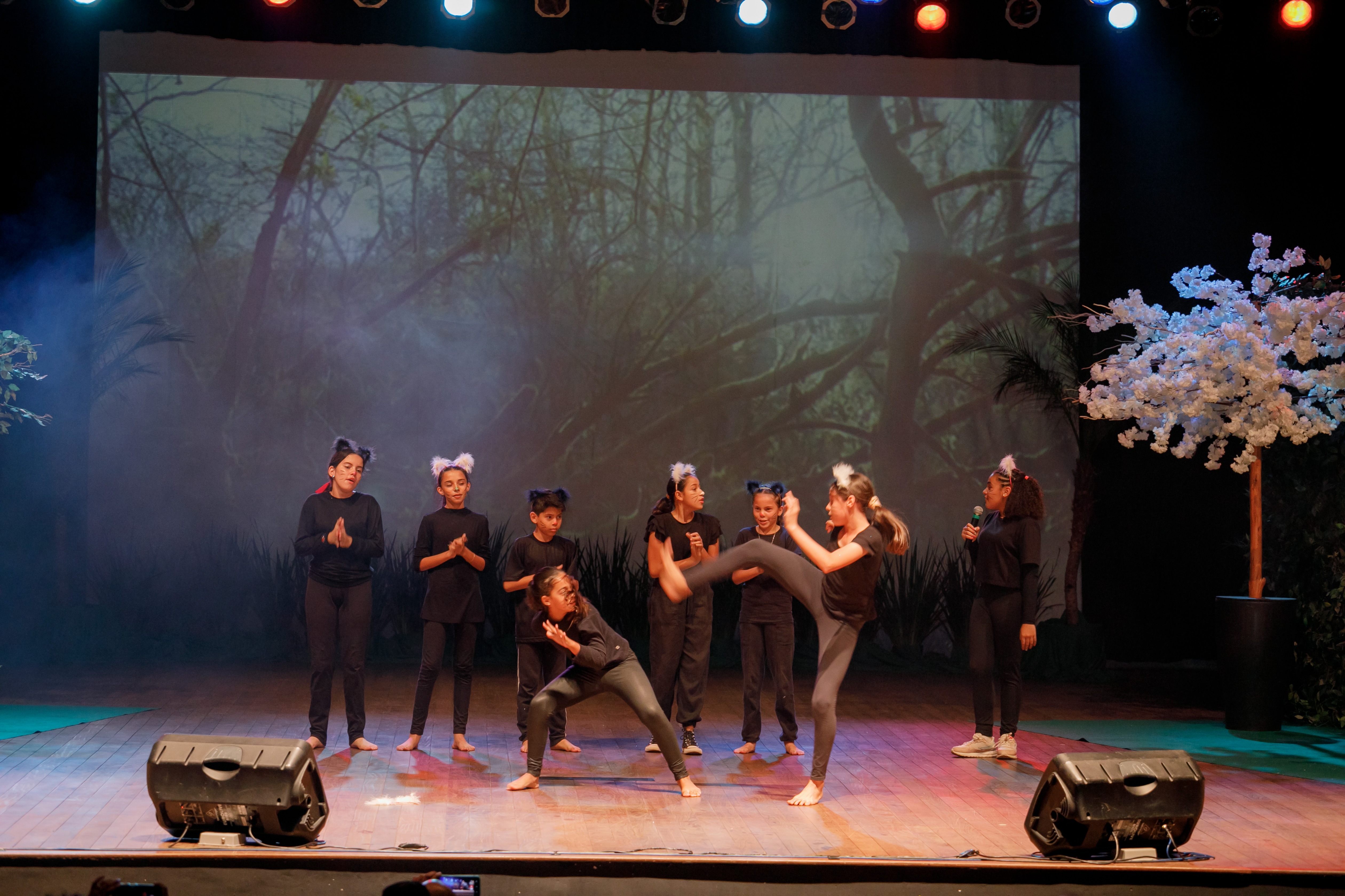 Trailer Lançamento do Livro Confabulando II