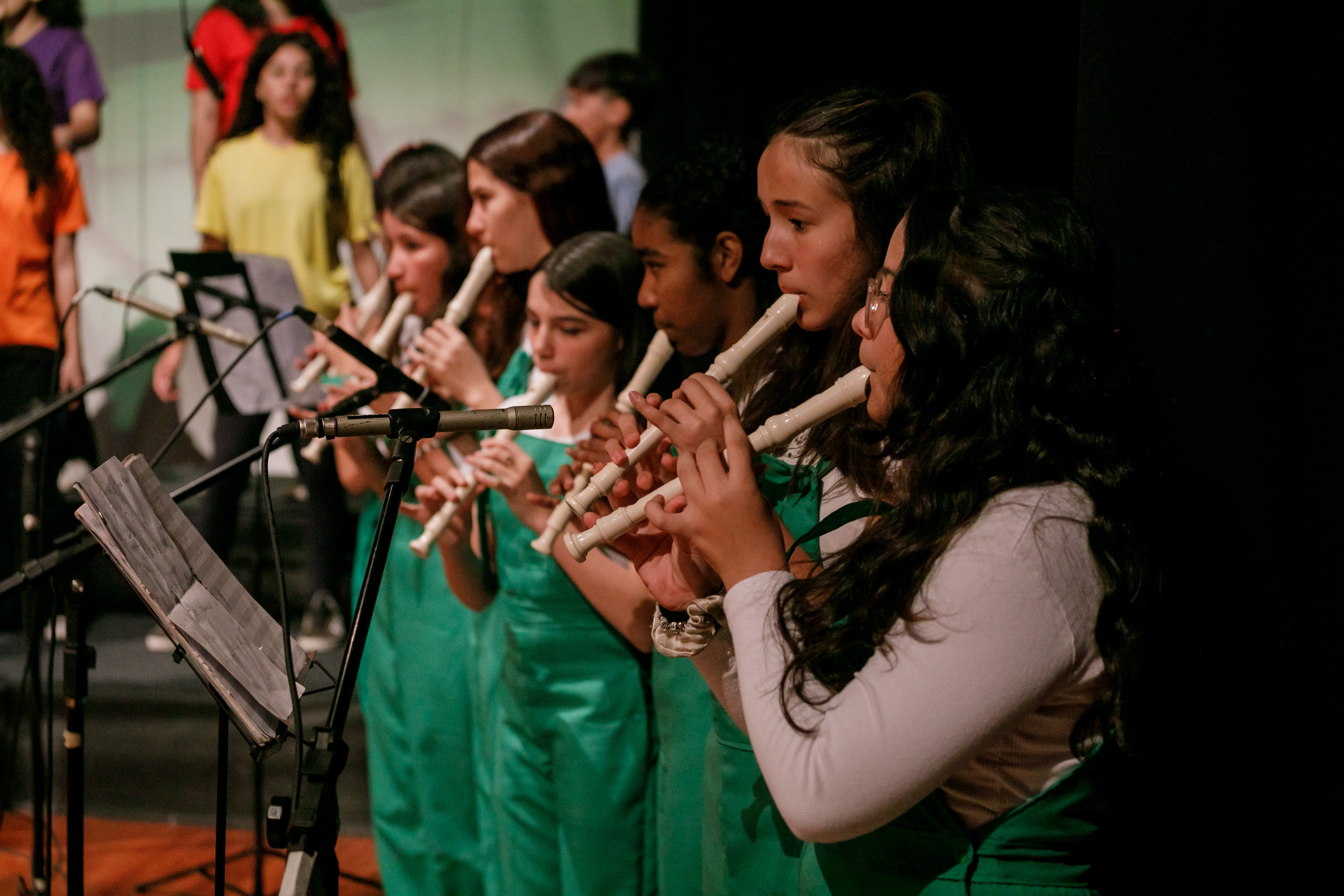 Teoria Musical com ênfase em Flauta Doce: